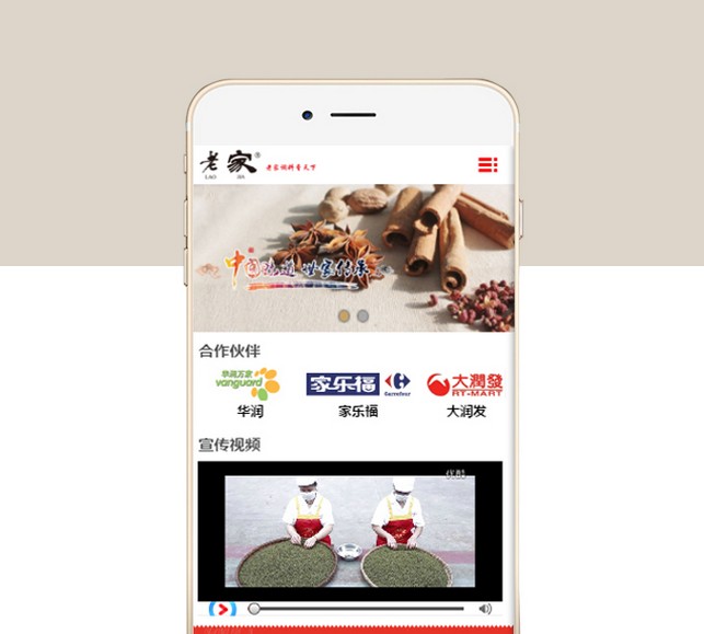 餐饮调料手机网站-S840