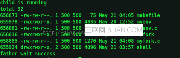 Linux进程替换(exec函数实现代码 三联